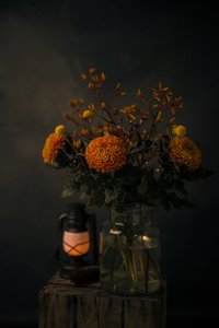 Høstblomstenes glød av Mayra Pama