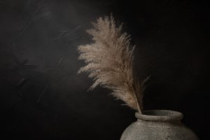 Mørk rustikk pampas av Mayra Pama