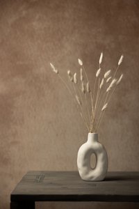 Minimalistisk stilleben med tørket gress av Mayra Pama