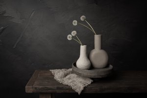 Minimalistiske blomstervaser av Mayra Pama