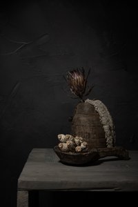 Stemningsfulle rustikke planter av Mayra Pama