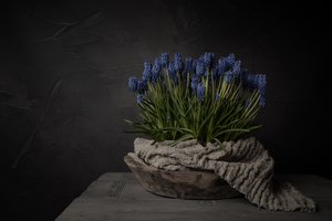 Rustikke blå blomster av Mayra Pama