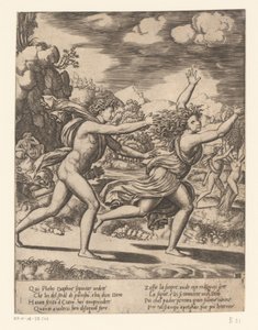 Apollo jager Daphne Historien om Apollo og Daphne (serietittel)