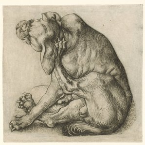 Kløende hund av Meester van het Amsterdamse Kabinet