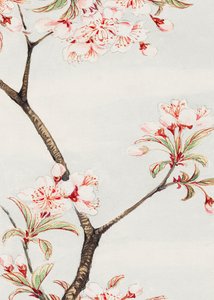 Sakura-kirsebær i perioden 1870–1880 av Megata Morikaga