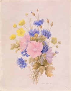 Åkerblomster av Melanie Marc