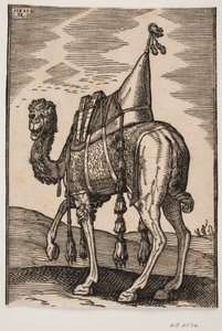 En salet kamel av Melchior Lorck