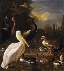  av Melchior d