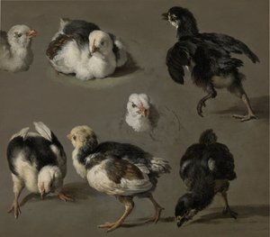 Syv kyllinger av Melchior d