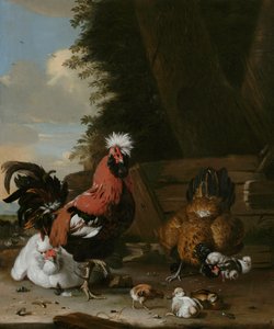 En dværghane med høner og kyllinger i en gårdsplass av Melchior de Hondecoeter