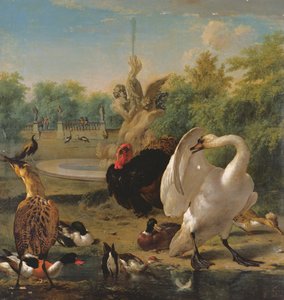  av Melchior de Hondecoeter
