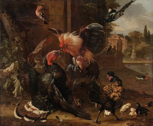 En hane og Tyrkia slåss, ca. 1680.