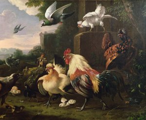 En hane og andre fugler i et landskap av Melchior de Hondecoeter