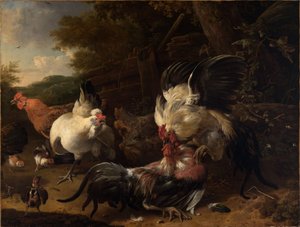 Kjempende haner av Melchior de Hondecoeter