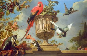 Scarlet Macaw satt på en urne, med andre fugler og en ape som spiste druer