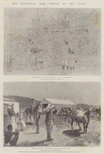 Transvaal-krigen, scener ved fronten