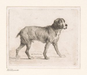 Hund av Michał Płoński