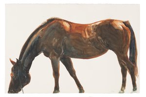 Uten tittel, 2018 (akvarell på papir) av Michael Frith
