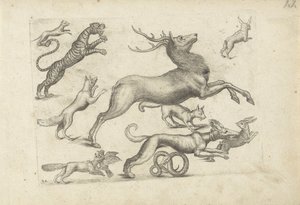Studieark med tegningseksempler: ulike dyr av Michael Snijders (attributed to)