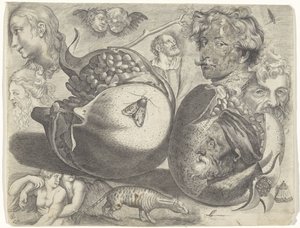 Studieark med tegningseksempler: hoder, figurer, frukt, dyr Tegningseksempler (serietittel)