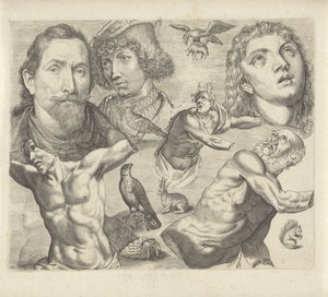 Studieark med tegningseksempler: hoder, torso og dyr Tegningseksempler (serietittel)
