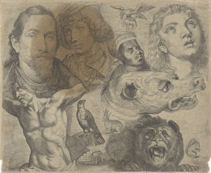 Studieark med tegningseksempler: hoder, torso og dyr Tegningseksempler (serietittel)