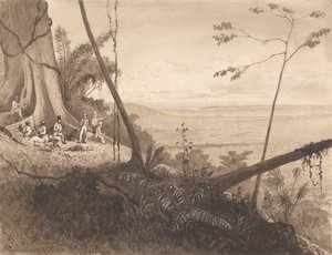 Cedar Point, Mount Tamana av Michel Jean Cazabon