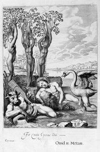 Cygnus forvandlet til en svane og Phaetons-søstre til poppel, 1655