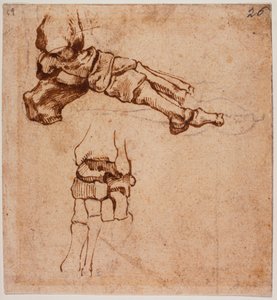  av Michelangelo (after) Buonarroti