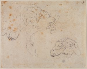  av Michelangelo (after) Buonarroti