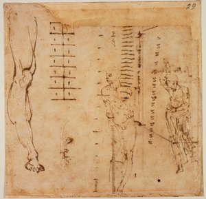  av Michelangelo Buonarroti