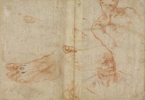 Figurstudier for det sixtinske taket av Michelangelo Buonarroti