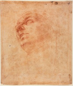  av Michelangelo Buonarroti