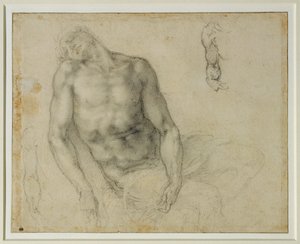  av Michelangelo Buonarroti
