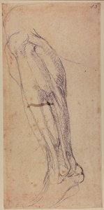  av Michelangelo Buonarroti