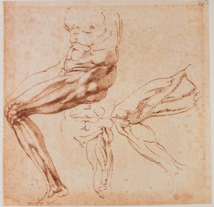  av Michelangelo Buonarroti