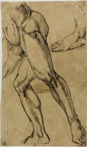 Ben og føtter av naken mann av Michelangelo Buonarroti