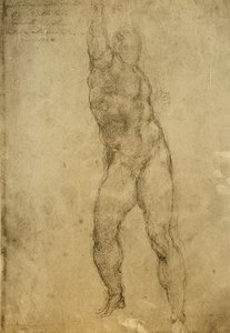 Nakenstudie, tegning av Michelangelo. Gallerie dellAccademia, Venezia av Michelangelo Buonarroti