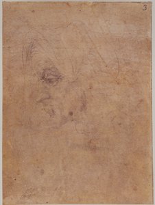  av Michelangelo Buonarroti