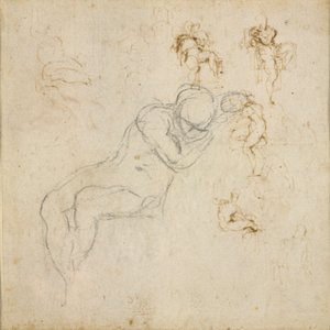 Recto: Eight Figure Studies. Verso: Figure Study, c1490-1560   1165221   no       norwegian Successfully Translated  Original: Rotterne Translat: Rotterne 1269726 no norwegian Successfully Translated Original: Vier geiten Pictura (series title on object) T av Michelangelo Buonarroti