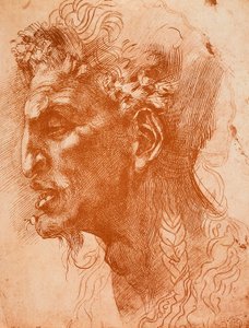 Satyrs Head; tegning av Michelangelo. Louvre, Paris av Michelangelo Buonarroti