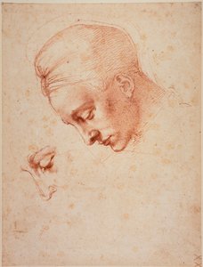  av Michelangelo Buonarroti