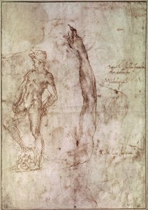 Studie for David (penn og blekk på papir) av Michelangelo Buonarroti