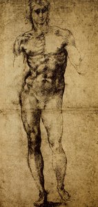Studie for en mannlig naken, Michelangelo Buonarroti (1475-1564), tegning, Paris, Louvre-museet
