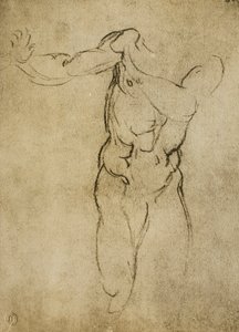 Studie for en maskulin byste, tegning av Michelangelo. Casa Buonarroti, Firenze av Michelangelo Buonarroti