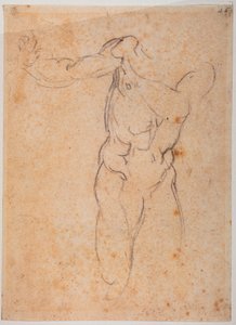  av Michelangelo Buonarroti