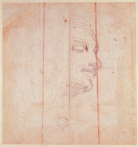 Studie for lederen av den libyske sibylen (svart kritt på papir) (verso) av Michelangelo Buonarroti