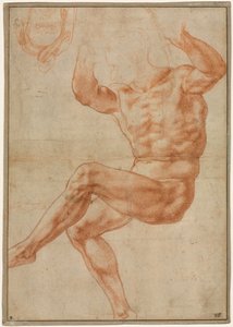 Studie for naken ungdom over profeten Daniel (recto) av Michelangelo Buonarroti