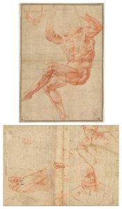 Studie for naken ungdom over profeten Daniel (recto); Figurstudier for det sixtinske taket (verso) av Michelangelo Buonarroti