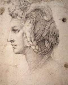 Studie av hodet av Michelangelo Buonarroti